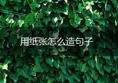 用纸张怎么造句子