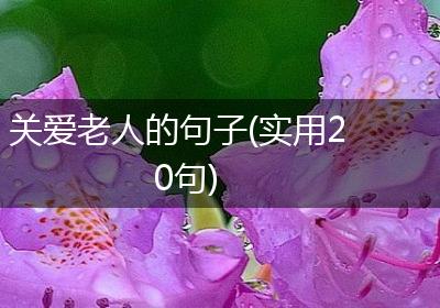 关爱老人的句子(实用20句)