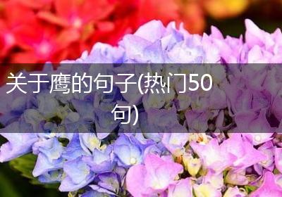 关于鹰的句子(热门50句)