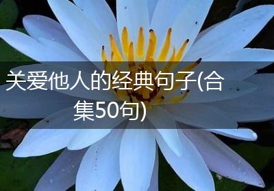 关爱他人的经典句子(合集50句)
