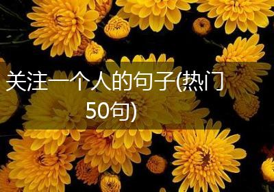 关注一个人的句子(热门50句)