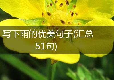 写下雨的优美句子(汇总51句)