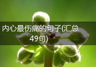 内心最伤痛的句子(汇总49句)