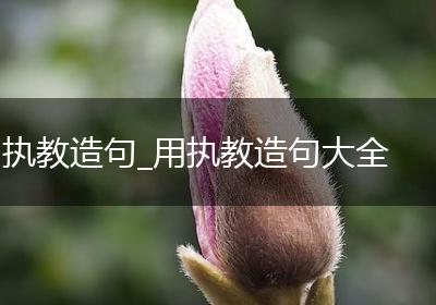 执教造句_用执教造句大全