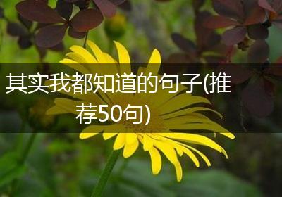 其实我都知道的句子(推荐50句)