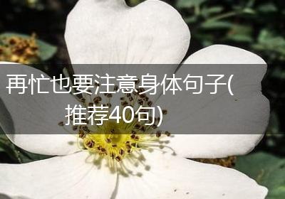 再忙也要注意身体句子(推荐40句)