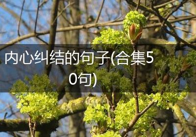 内心纠结的句子(合集50句)