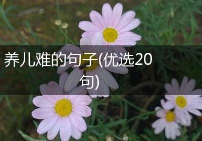 养儿难的句子(优选20句)