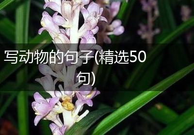 写动物的句子(精选50句)