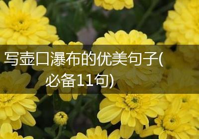 写壶口瀑布的优美句子(必备11句)