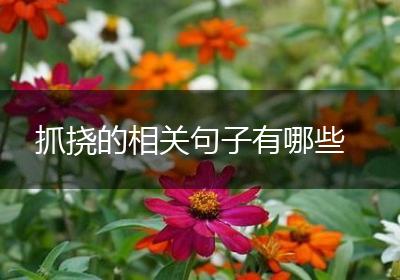 抓挠的相关句子有哪些