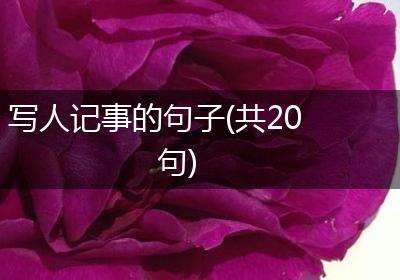 写人记事的句子(共20句)