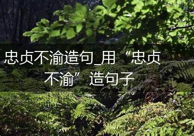 忠贞不渝造句_用“忠贞不渝”造句子