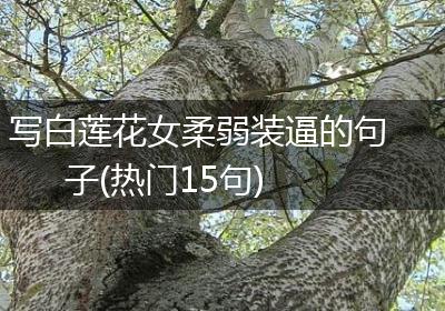 写白莲花女柔弱装逼的句子(热门15句)
