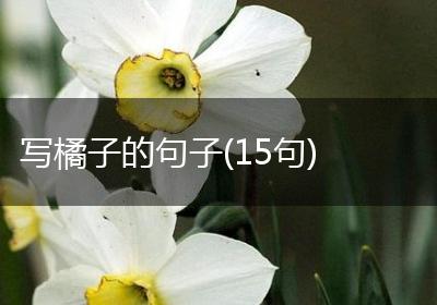 写橘子的句子(15句)