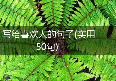 写给喜欢人的句子(实用50句)