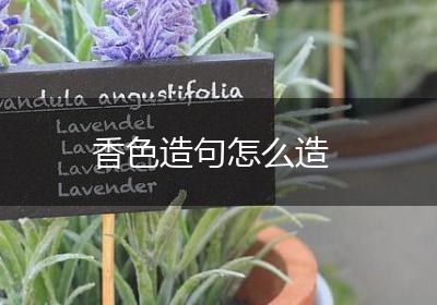 香色造句怎么造