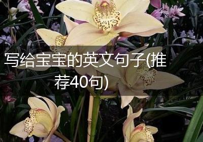 写给宝宝的英文句子(推荐40句)