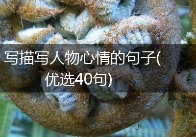 写描写人物心情的句子(优选40句)