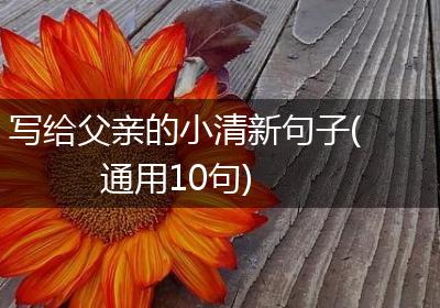 写给父亲的小清新句子(通用10句)