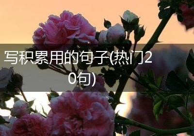写积累用的句子(热门20句)