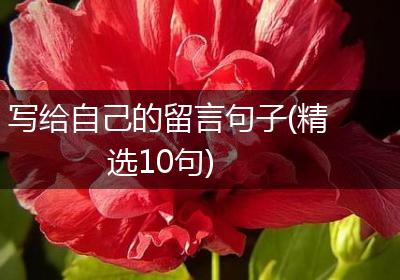 写给自己的留言句子(精选10句)