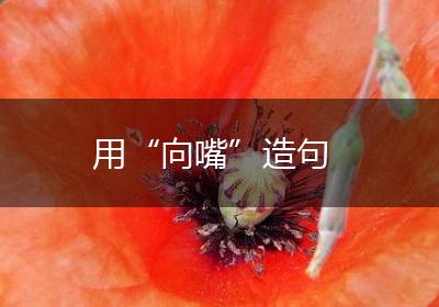 用“向嘴”造句