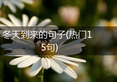 冬天到来的句子(热门15句)