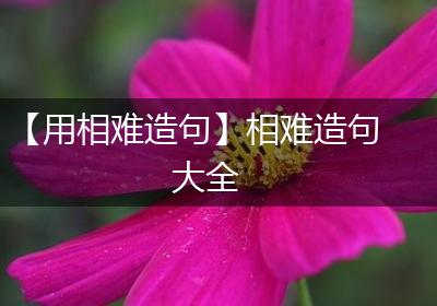 【用相难造句】相难造句大全