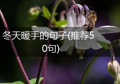 冬天暖手的句子(推荐50句)