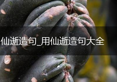 仙逝造句_用仙逝造句大全