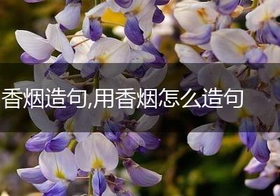 香烟造句,用香烟怎么造句