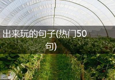 出来玩的句子(热门50句)
