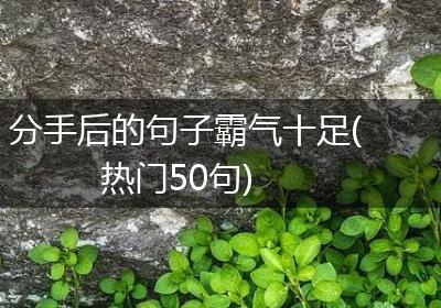 分手后的句子霸气十足(热门50句)