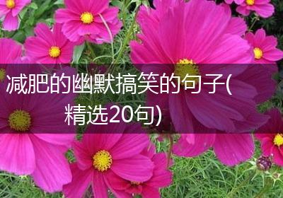 减肥的幽默搞笑的句子(精选20句)