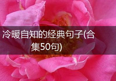 冷暖自知的经典句子(合集50句)