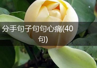 分手句子句句心痛(40句)