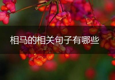 相马的相关句子有哪些