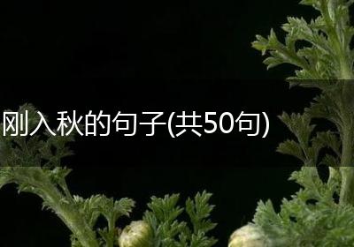 刚入秋的句子(共50句)