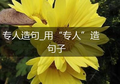 专人造句_用“专人”造句子
