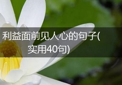 利益面前见人心的句子(实用40句)