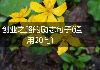 创业之路的励志句子(通用20句)