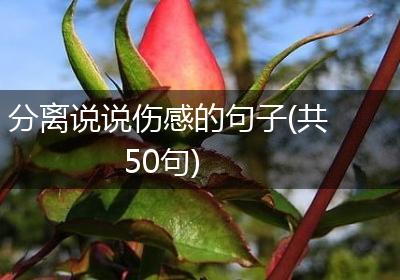 分离说说伤感的句子(共50句)