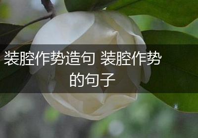 装腔作势造句 装腔作势的句子