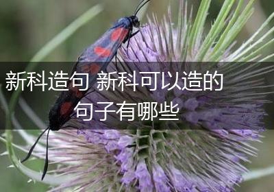 新科造句 新科可以造的句子有哪些
