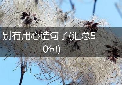 别有用心造句子(汇总50句)