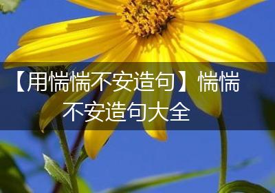 【用惴惴不安造句】惴惴不安造句大全