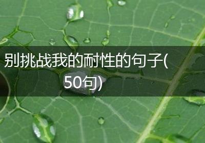 别挑战我的耐性的句子(50句)