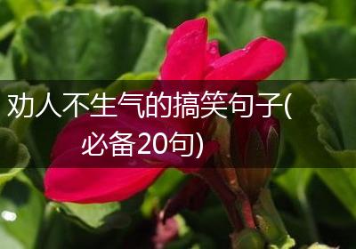 劝人不生气的搞笑句子(必备20句)