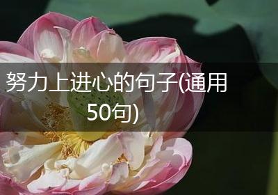 努力上进心的句子(通用50句)